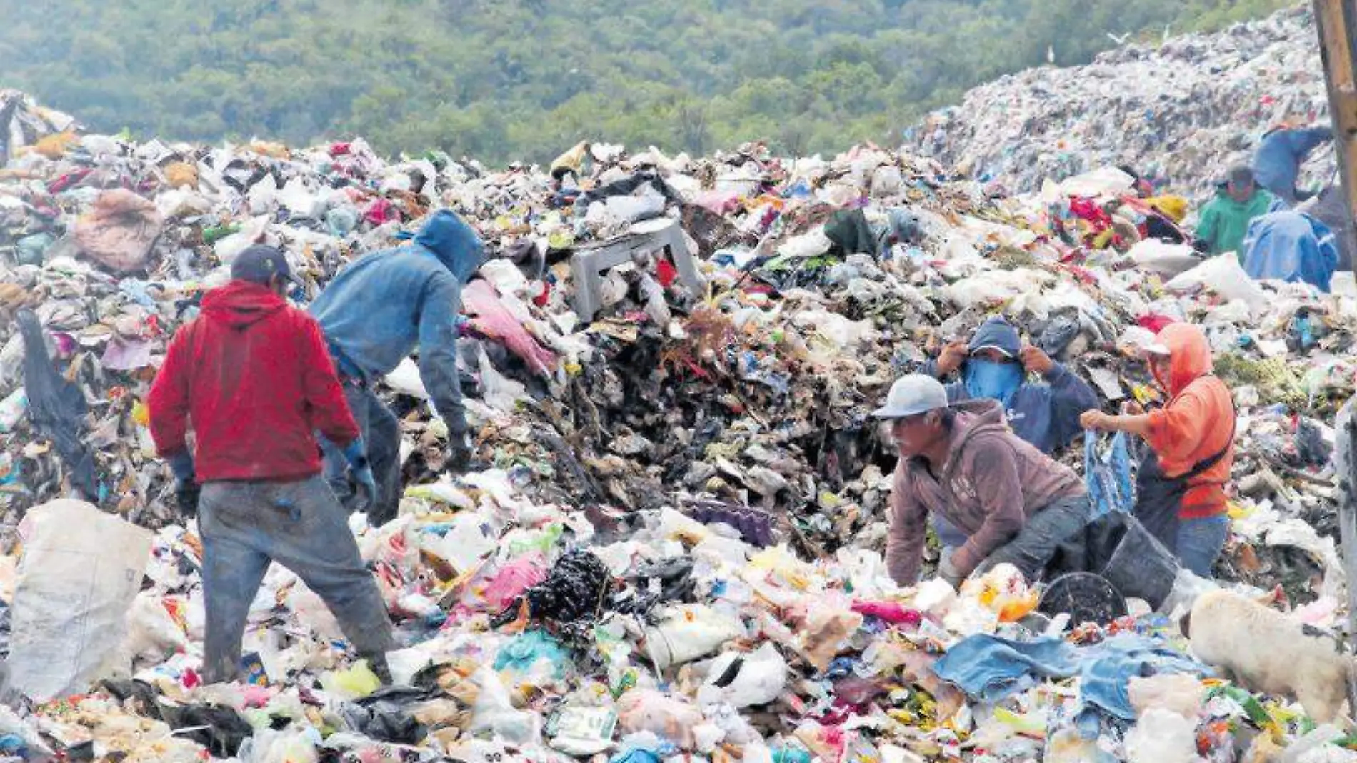 Relleno sanitario, basura